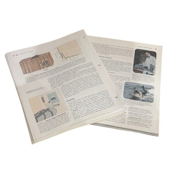 The Science of Psychology by Laura King Looseleaf Textbook - Picture 3 of 4